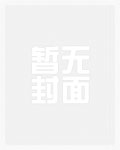 小麦播前整地技术